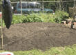 guide_soil