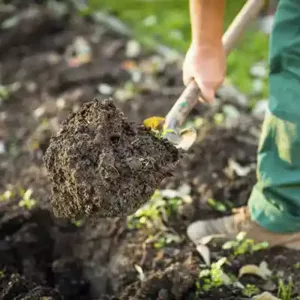 garden_mix soil scooped with shovel